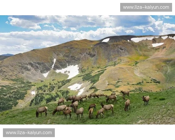 俄勒冈风情与落基山脉的碰撞：波特兰vs科罗拉多，一场未完待续的精彩对话
